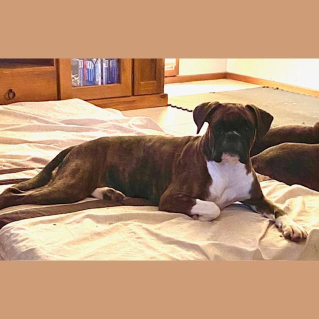 Photo of Forest And Pearl