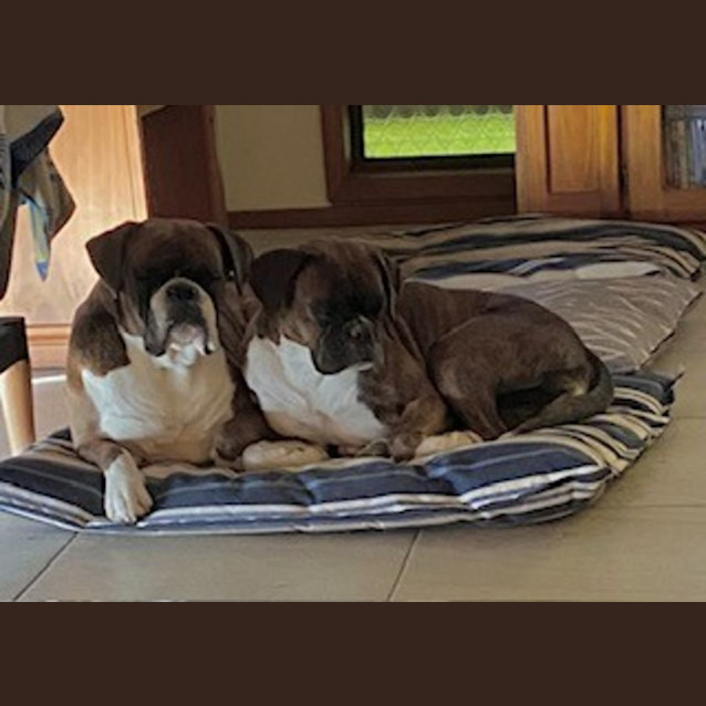 Photo of Forest And Pearl