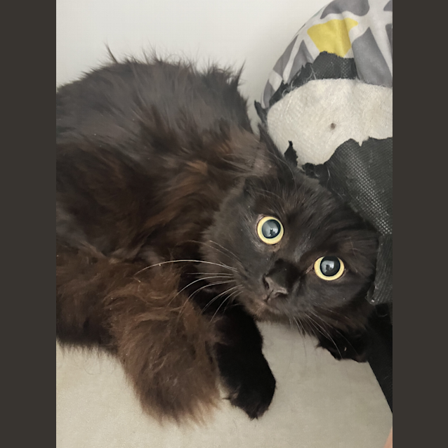 Photo of Wednesday