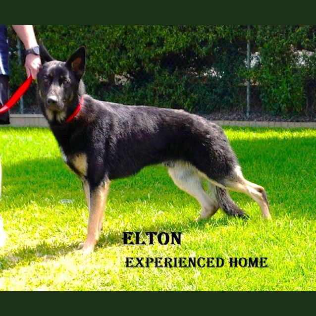 Photo of Elton