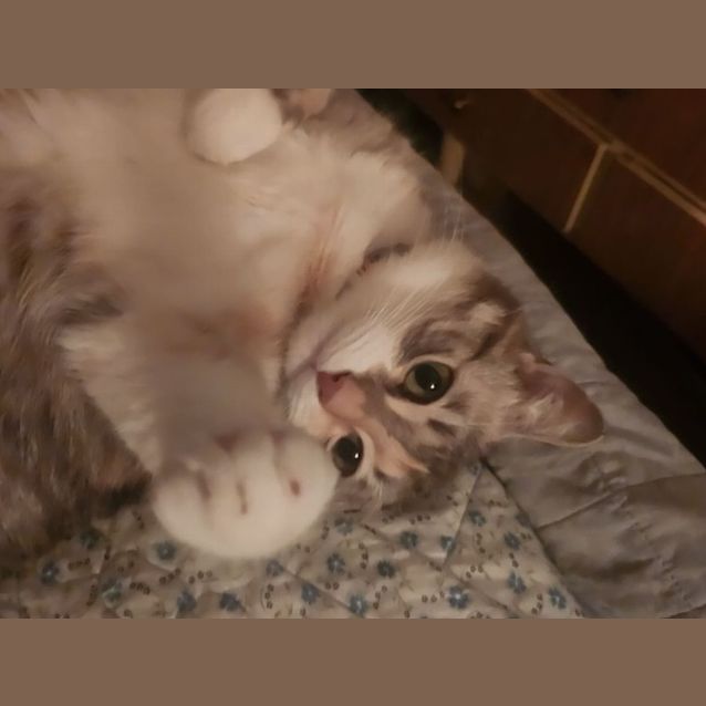 Photo of Baby
