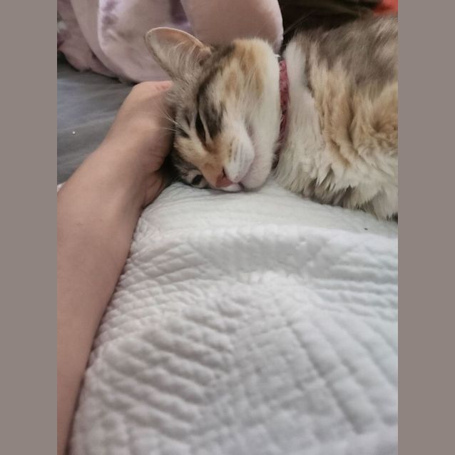 Photo of Baby