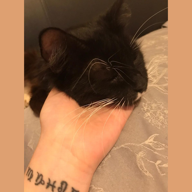 Photo of Mae
