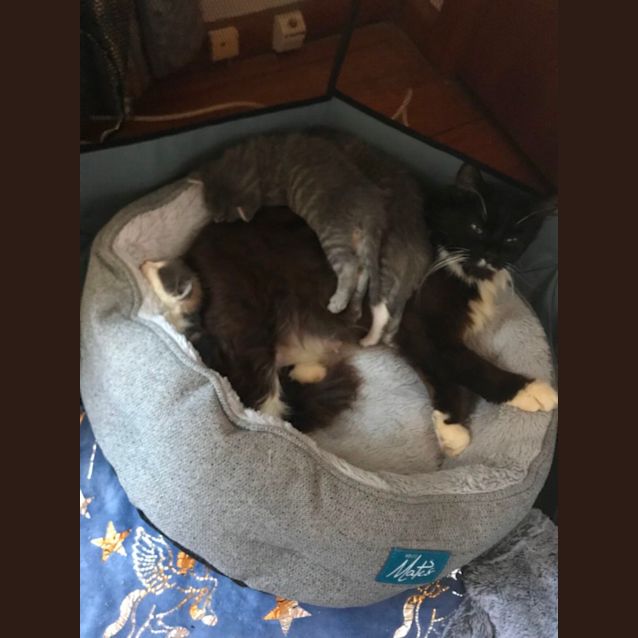 Photo of Mae
