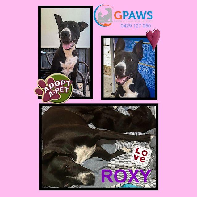 Photo of Roxy