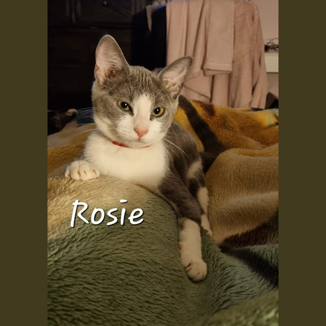 Photo of Rosie