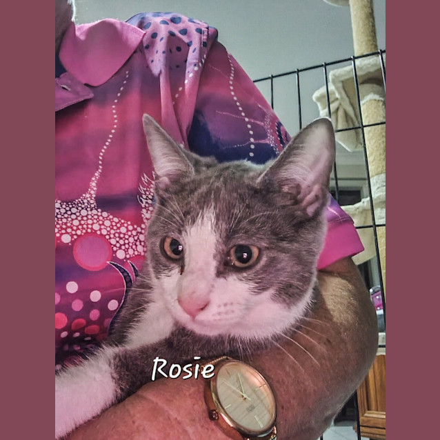 Photo of Rosie