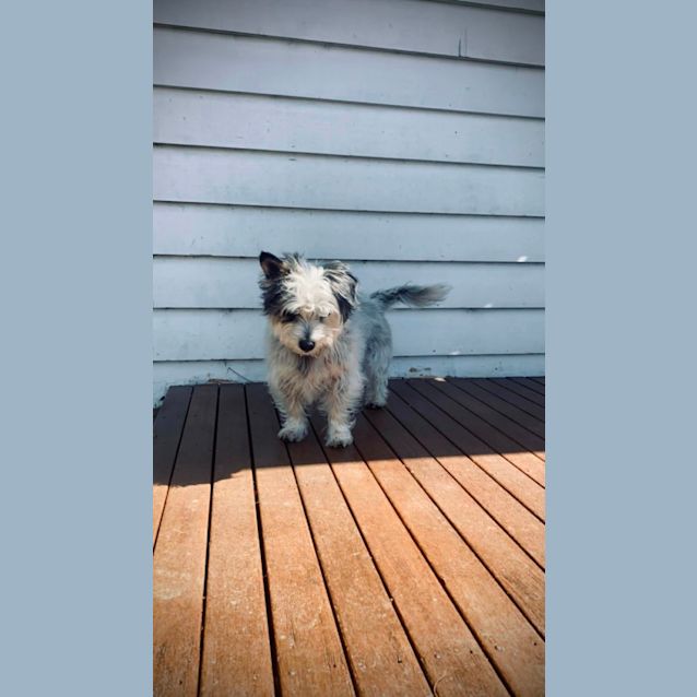 Photo of Teddy