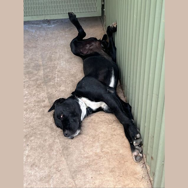 Photo of Millington (Milly)