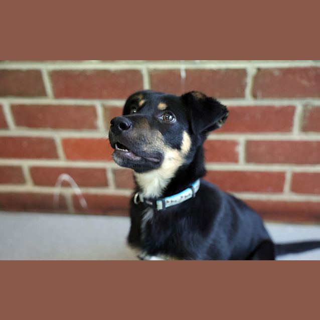 Photo of Bucky