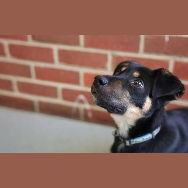 Photo of Bucky