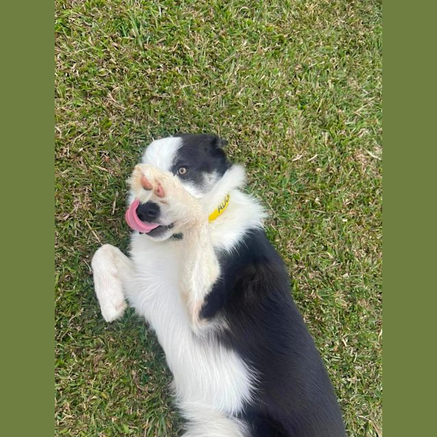 Photo of Luka