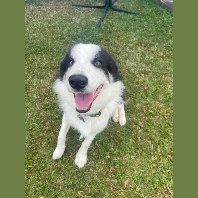 Photo of Luka