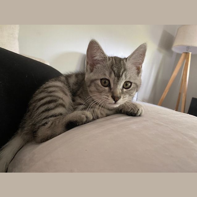 Photo of Amelia