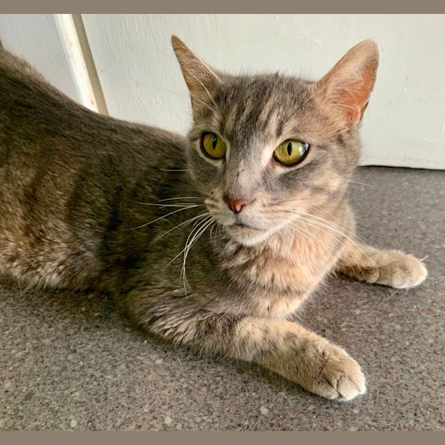 Photo of Biscuits & Baby 