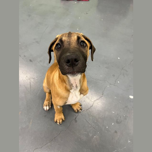 Photo of Oliver