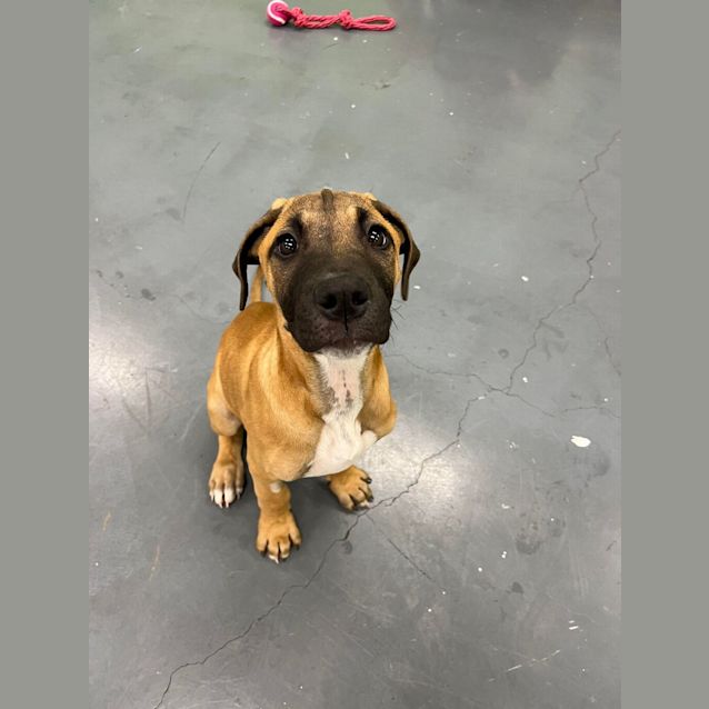Photo of Oliver