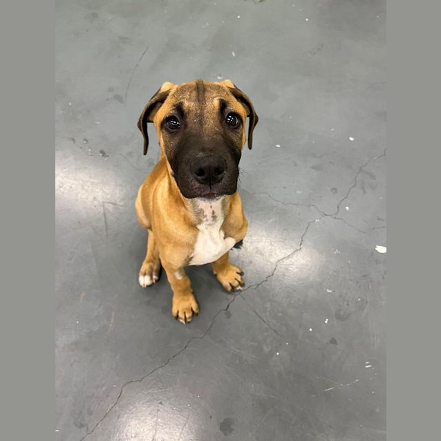 Photo of Oliver
