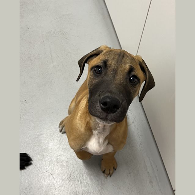 Photo of Oliver