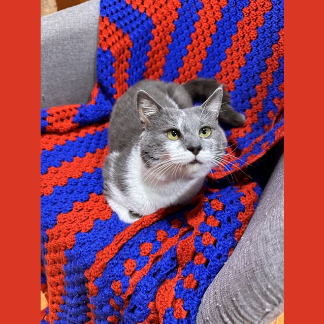 Photo of Scooter