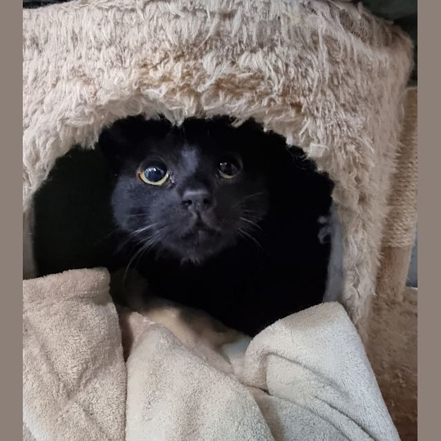 Photo of Scratch