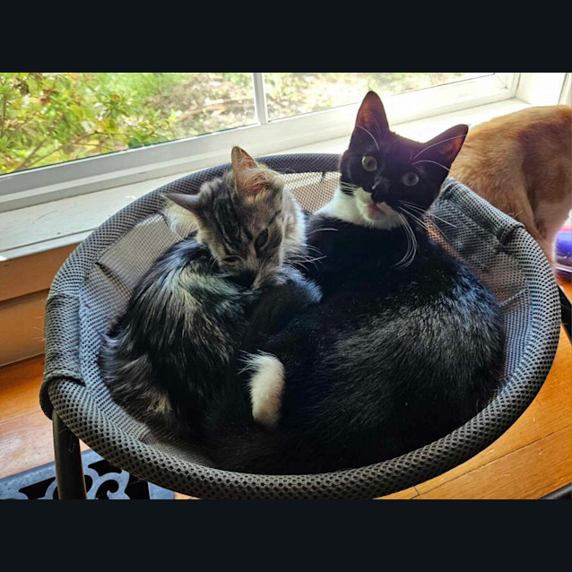 Photo of James Bond And Miss Moneypenny