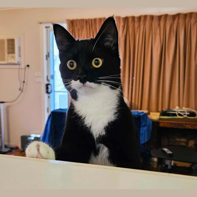 Photo of James Bond And Miss Moneypenny