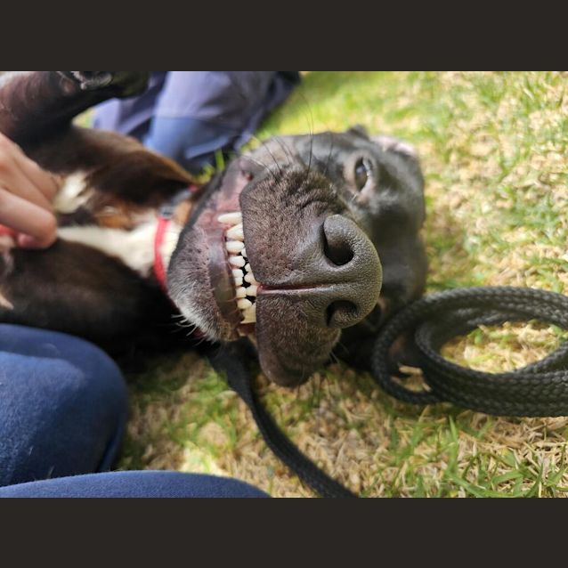 Photo of Jack