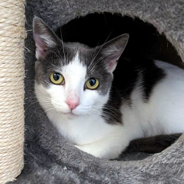 Photo of Skye Stk011682