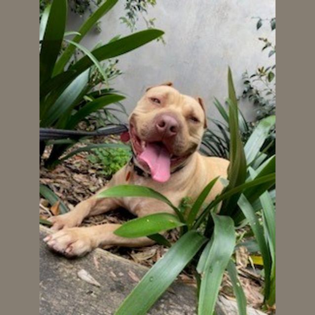 Photo of Tyson