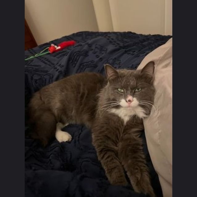 Photo of Freddy