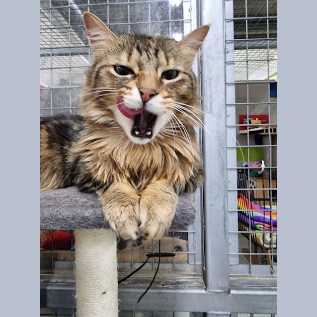 Photo of Buster