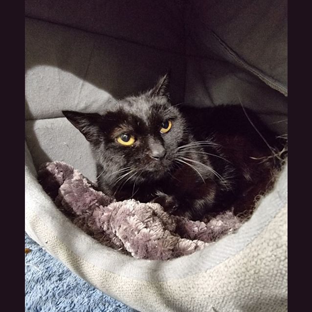 Photo of Shirley