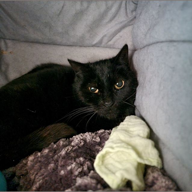 Photo of Shirley