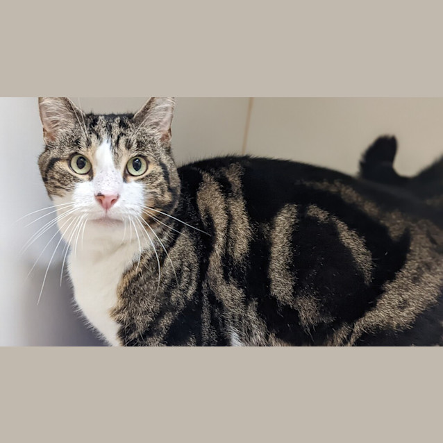 Photo of Thomas
