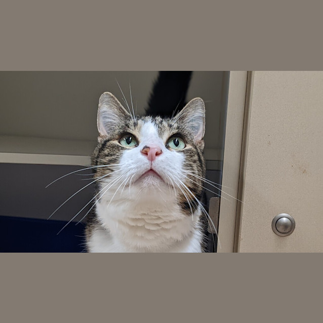 Photo of Thomas