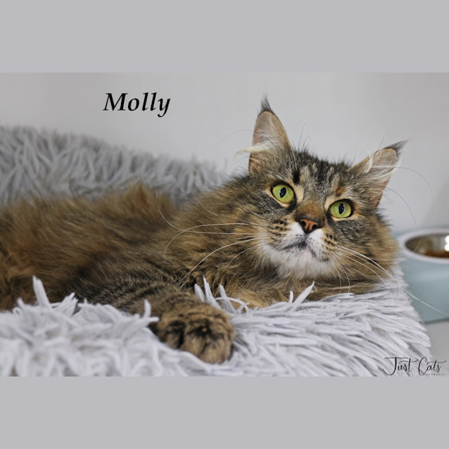 Photo of Molly