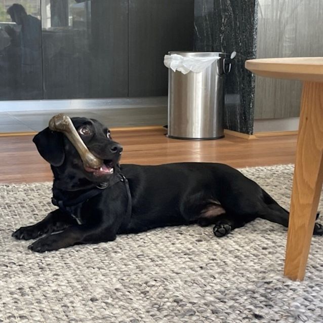 Photo of Charlie