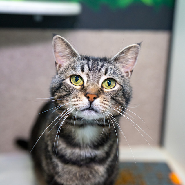 Photo of Marty