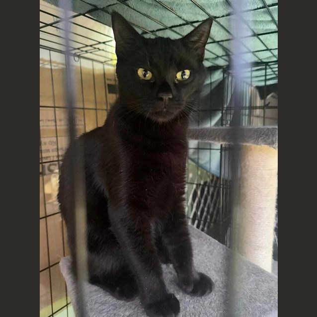 Photo of Turbo Brian