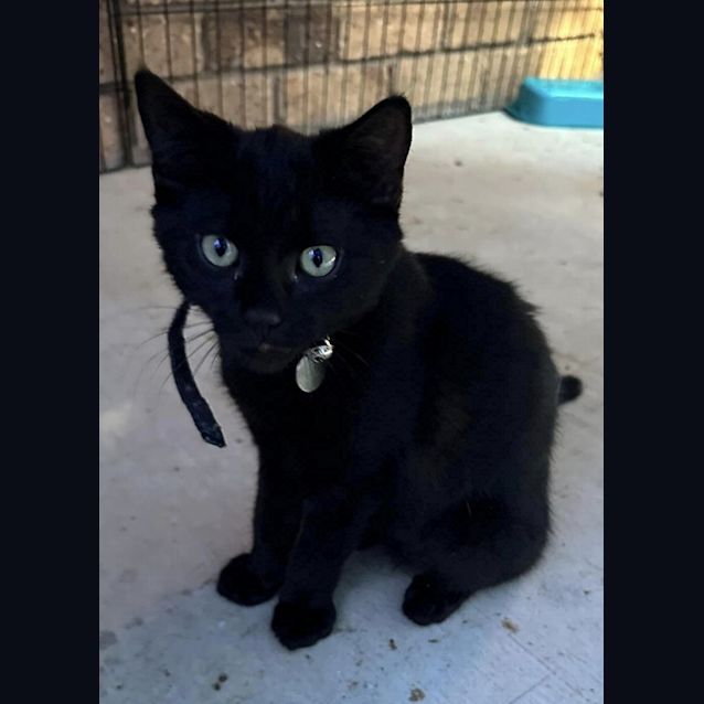 Photo of Turbo Brian