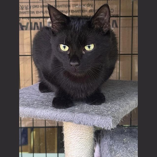 Photo of Turbo Brian