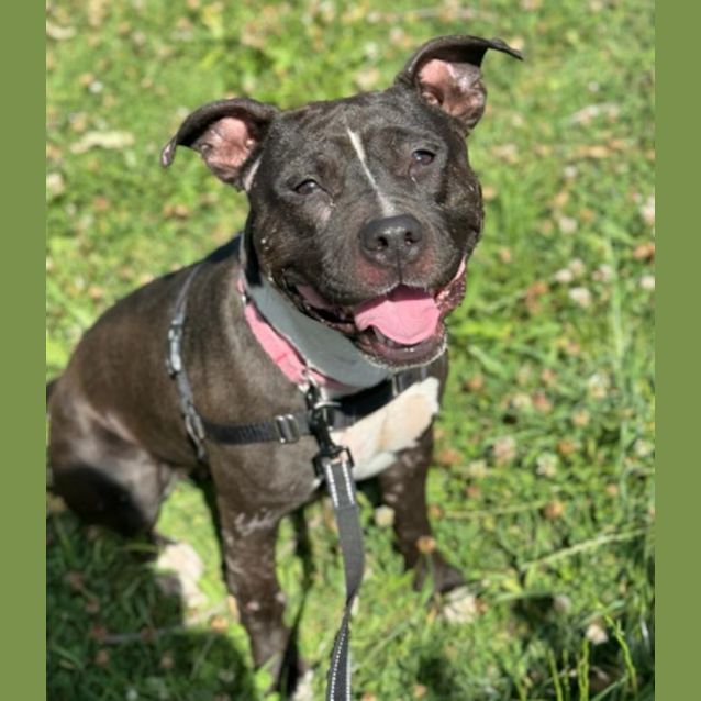Photo of Xena