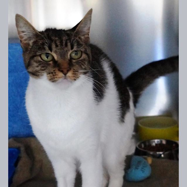 Photo of Missy