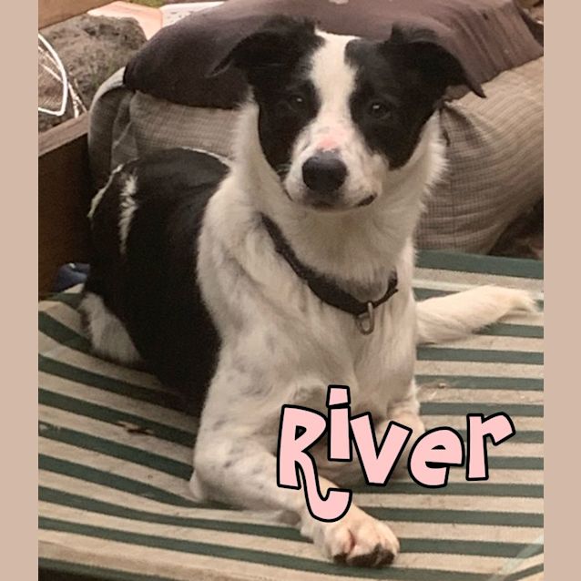 Photo of Arty & River