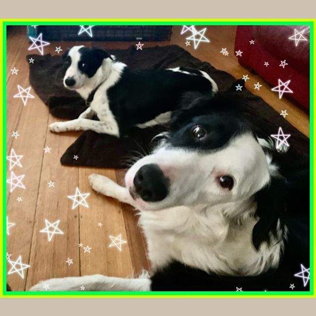 Photo of Arty & River