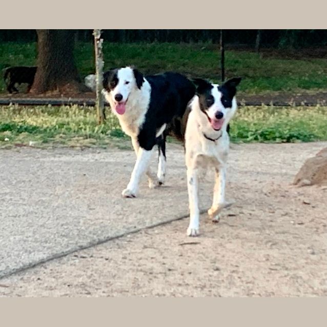 Photo of Arty & River