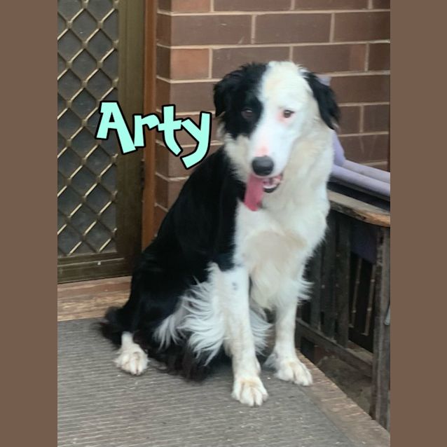 Photo of Arty & River