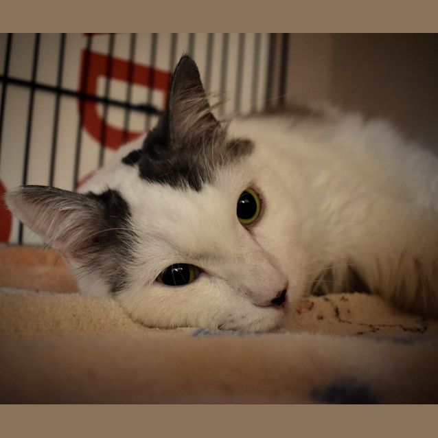 Photo of Wilbur