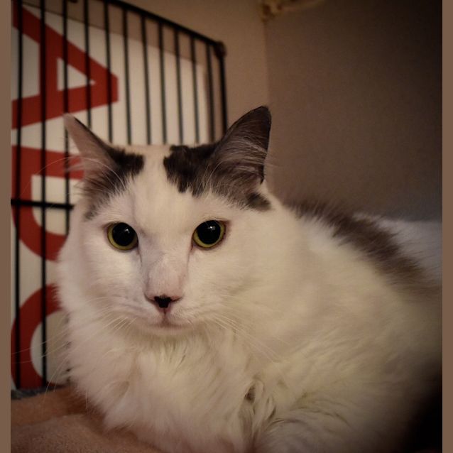 Photo of Wilbur
